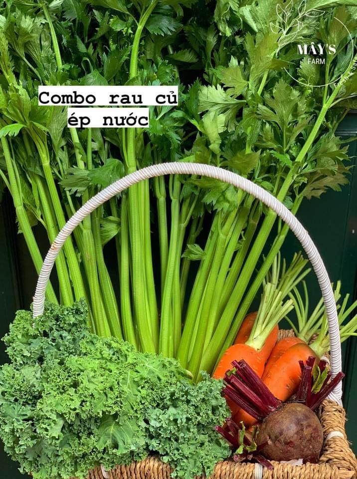 Combo rau củ quà tặng