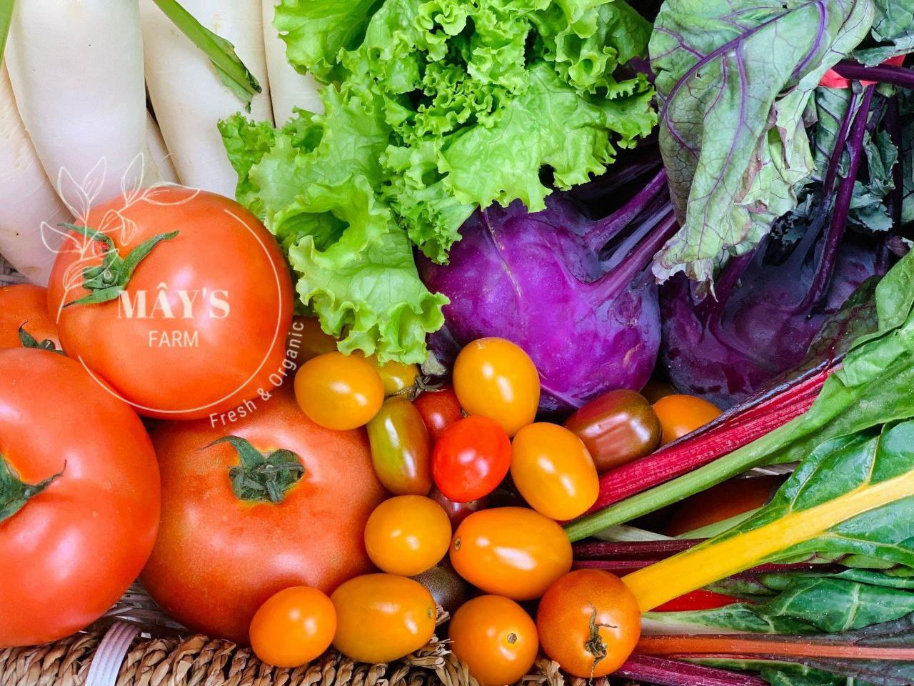 Rau củ tươi đa dạng
