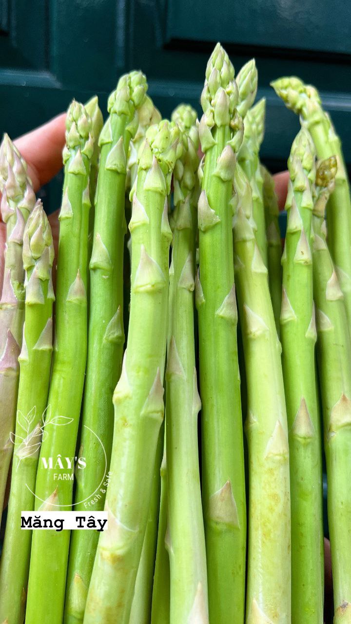 Măng tây tươi - Combo quà tặng