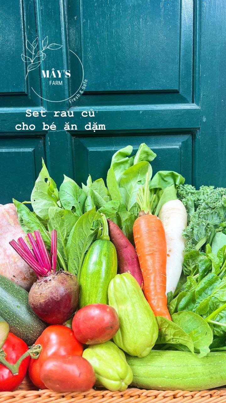 Set rau củ cho bé ăn dặm