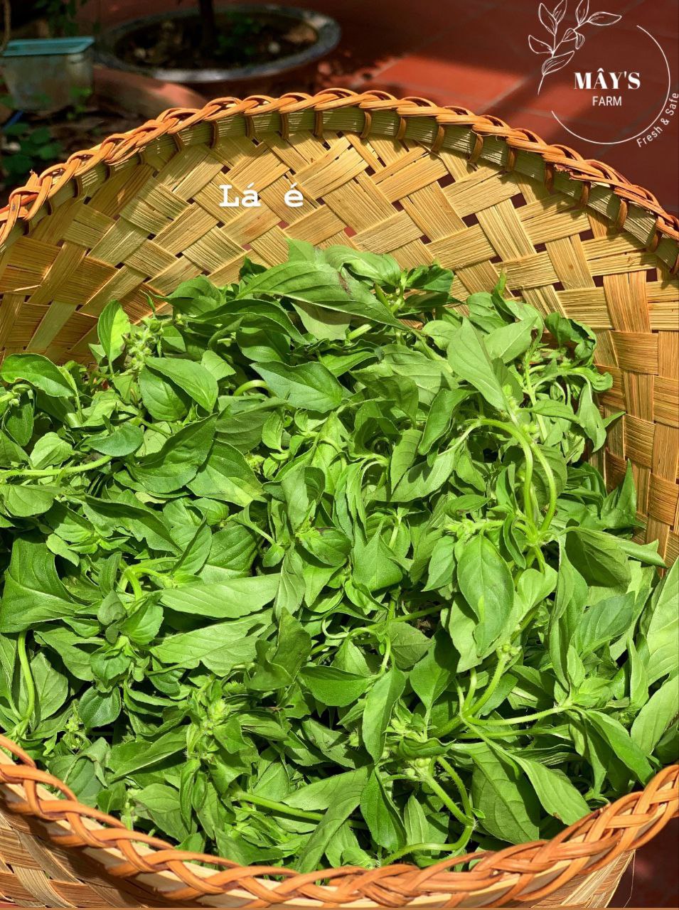 Lá é tươi - Rau lẻ theo ngày